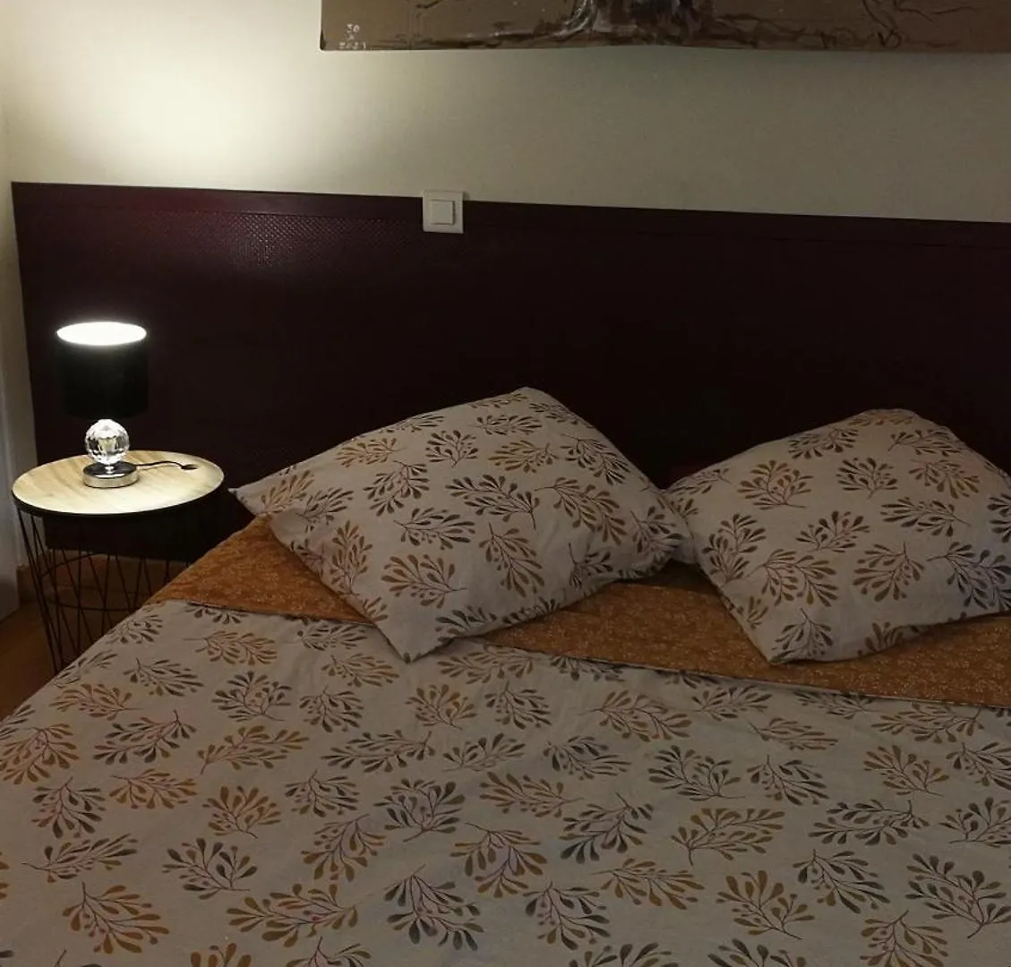 Homestay Nine Annecy Apartment
